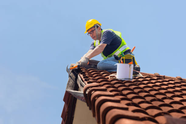 Best Roof Moss and Algae Removal  in Robertsville, NJ